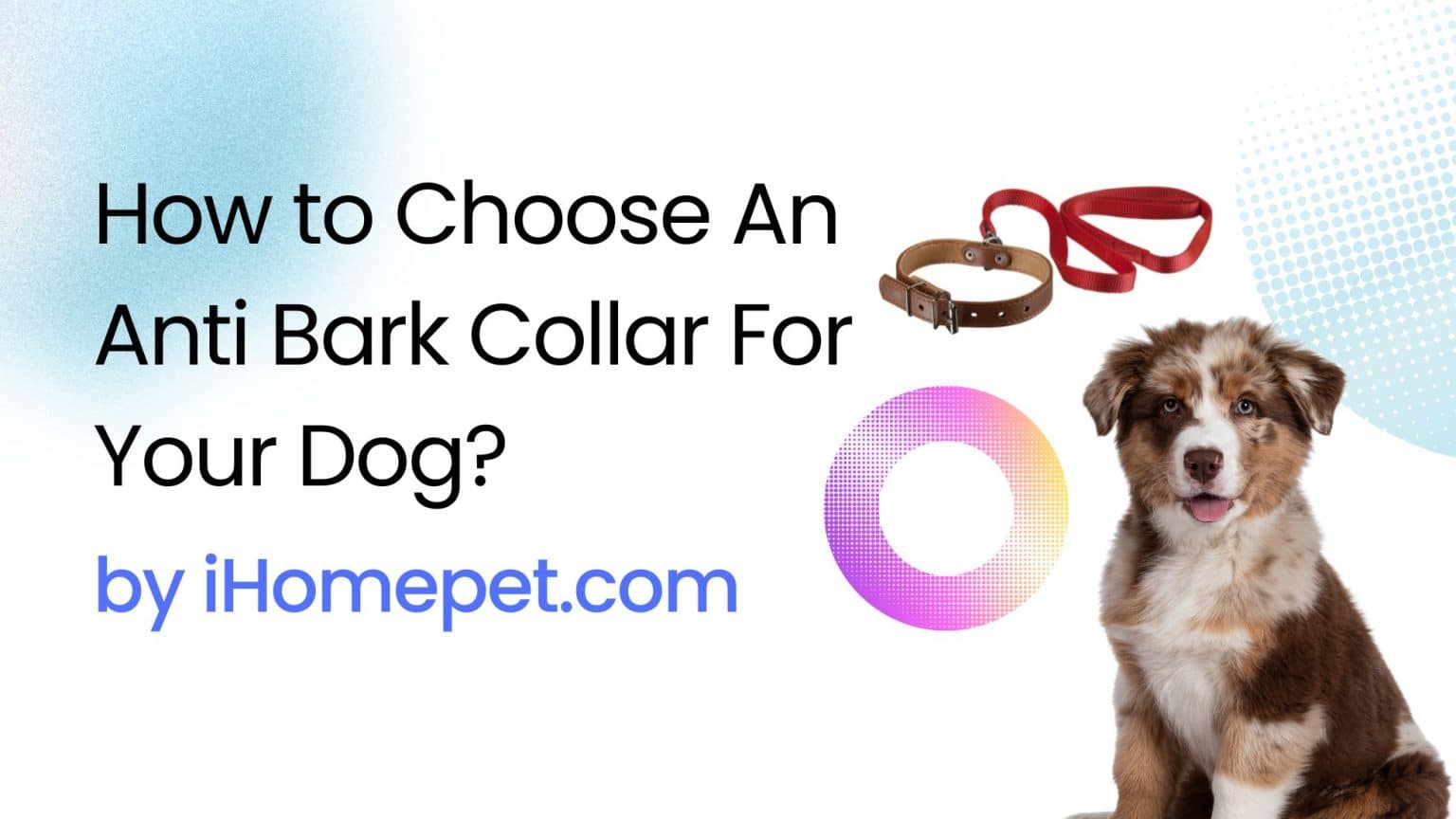 How to Choose An Anti Bark Collar For Your Dog? iHomePet