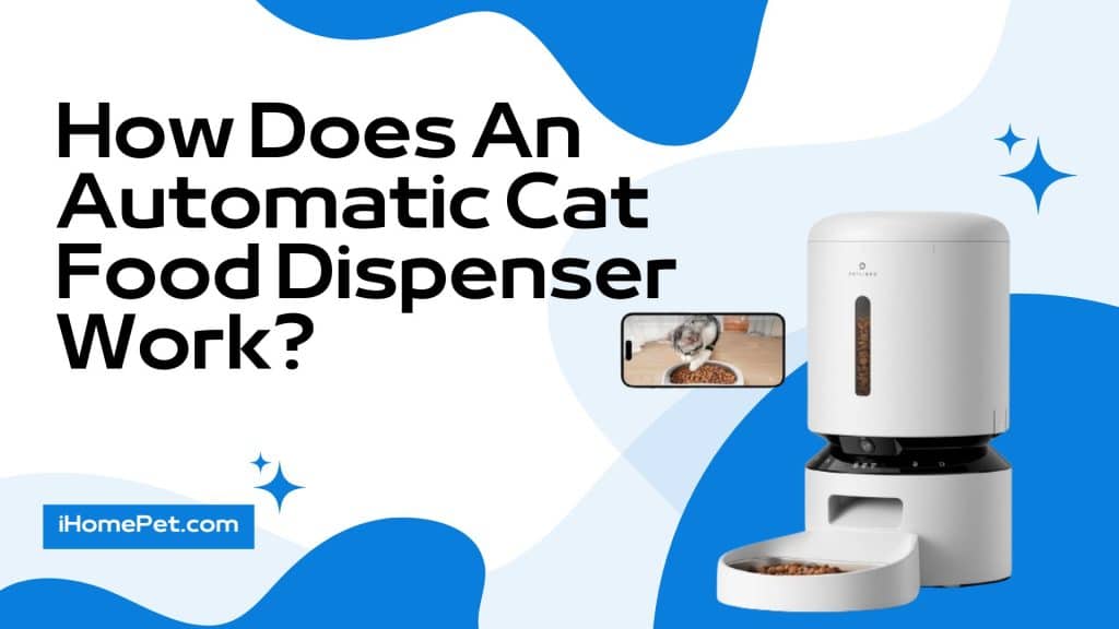 How Does An Automatic Cat Food Dispenser Work?