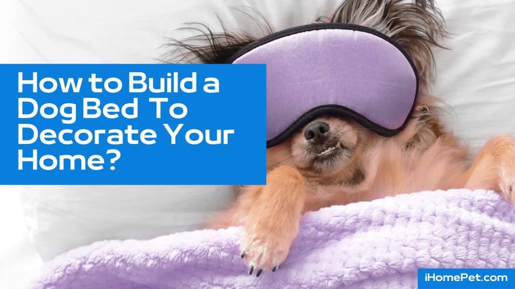 How to Build a Dog Bed
