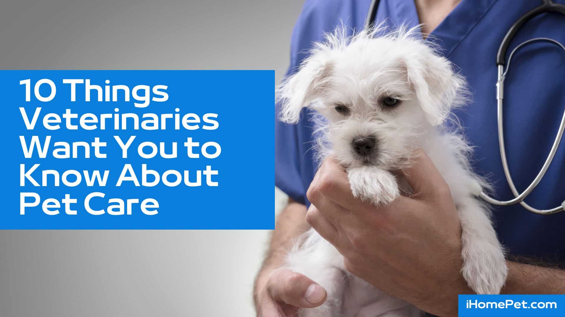 Bring your pet home from a vet visit with quality care and good veterinary practices