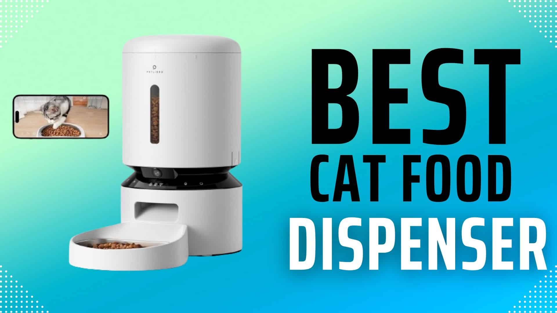 10 Best Cat Food Dispenser & Cat Feeder For Dry Food iHomePet