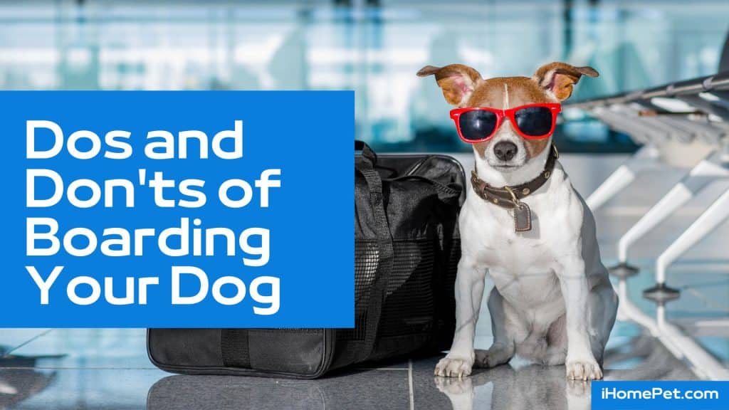 Dos and Don'ts of Boarding Your Dog