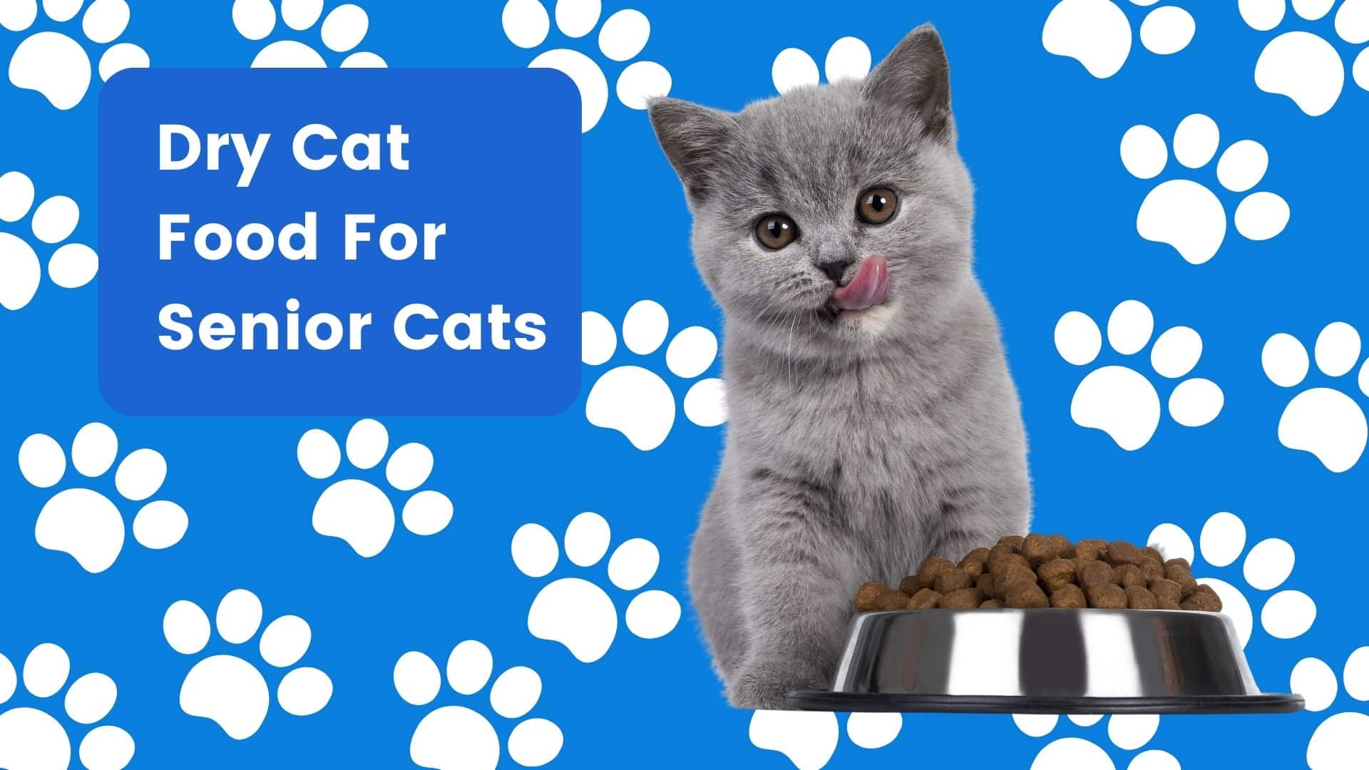 Best cat food for an aging kitty