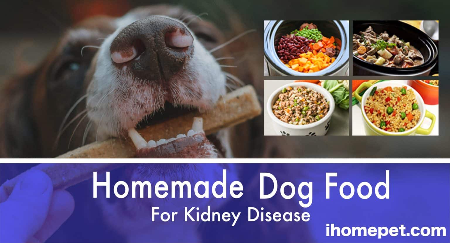 Easy to Make Homemade Dog Food Kidney Disease