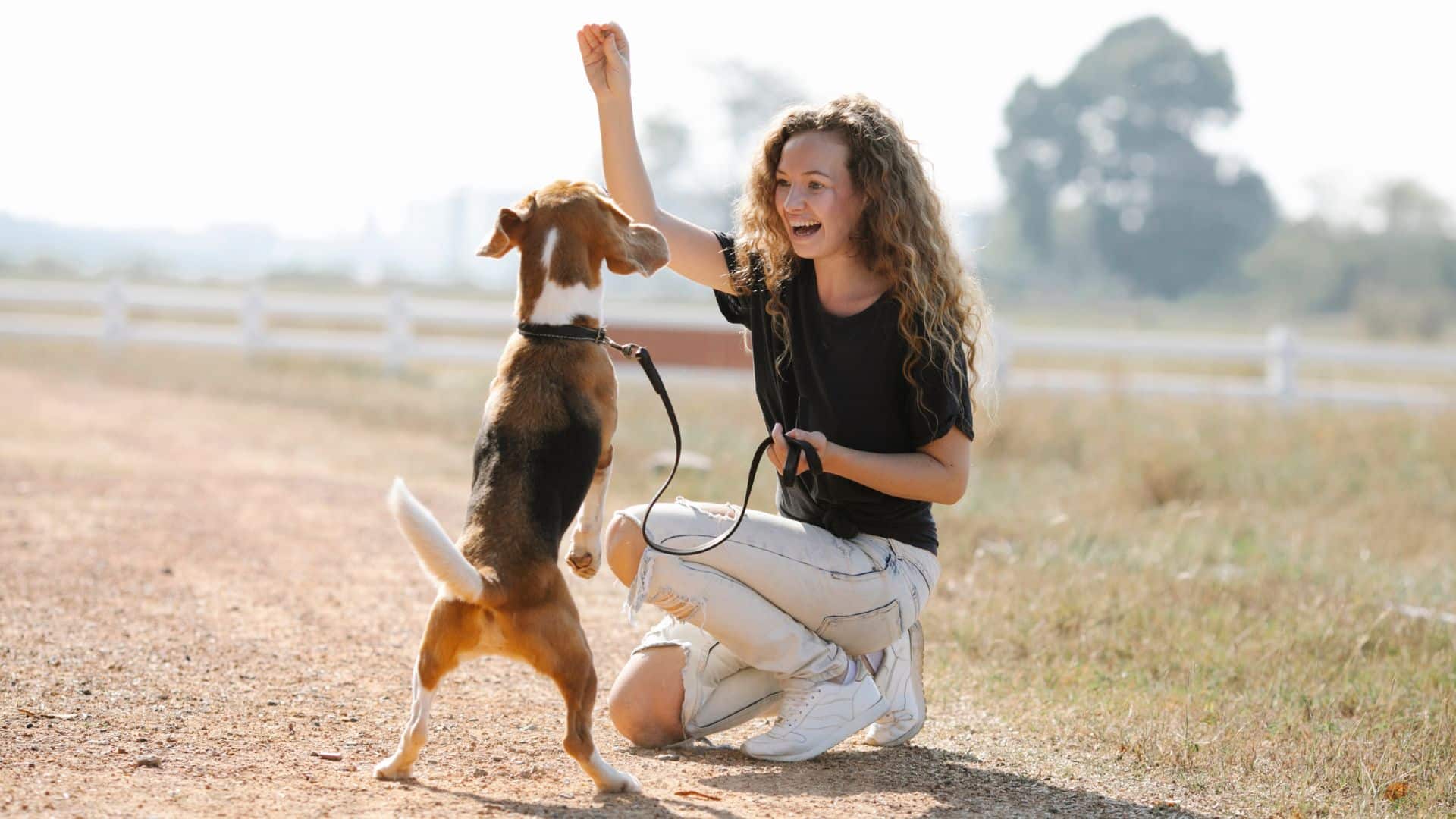 Training two dogs good behavior as a pet parent