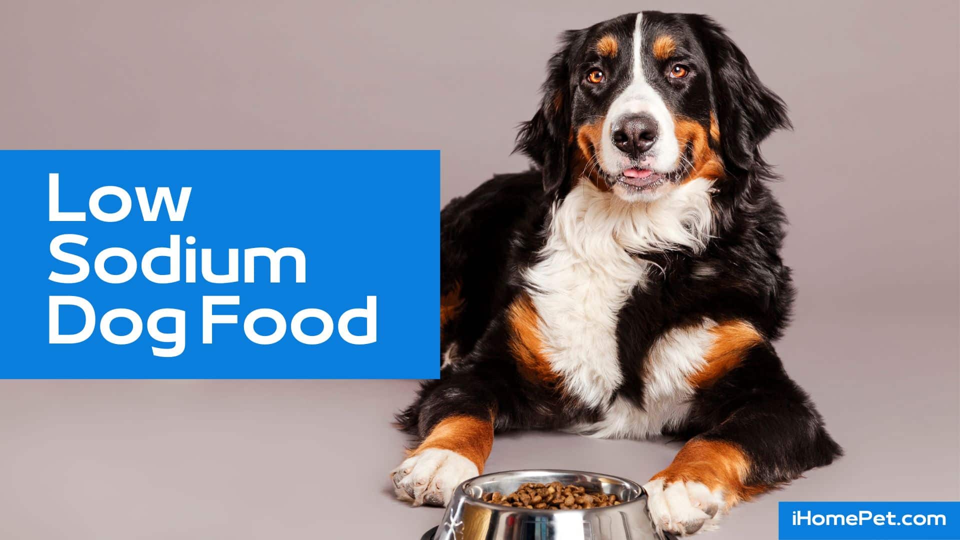 How much sodium does your pup need