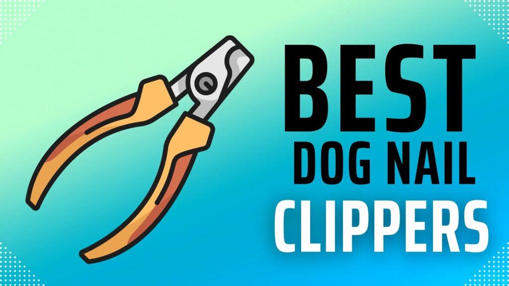 Best Dog Nail Clippers And Trimmers