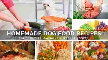 Homemade Dog Food Recipes: The Secret to Making 16 Different Recipes