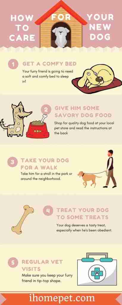 [Infographic] How To Care For Your New Dog: The Easy Way