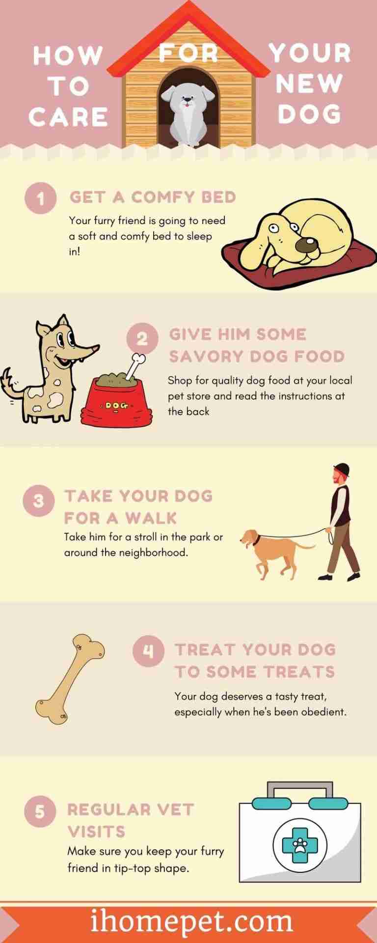 [Infographic] How To Care For Your New Dog: The Easy Way
