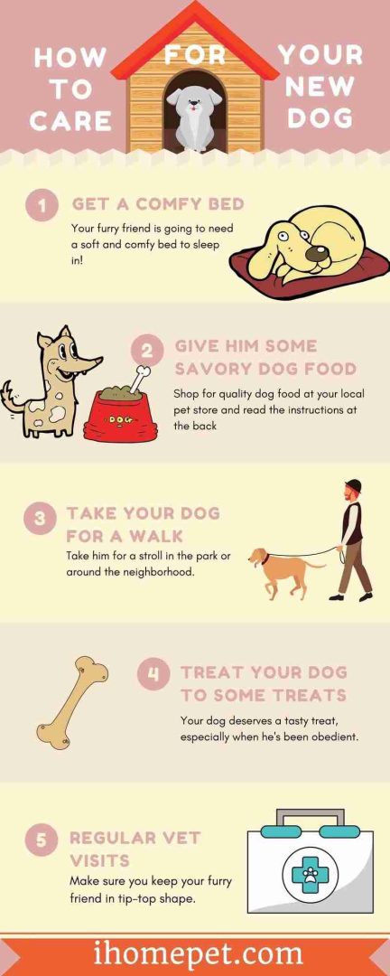 How To Care For Your New Dog