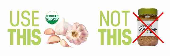 Trying Natural Flea Treatments Natural Flea Treatments Garlic