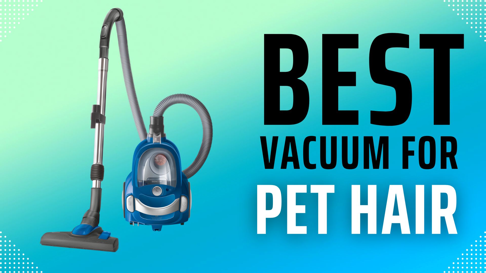 Best Vacuum Cleaner For Pet Hair 8 Tips On How To Buy The Best One