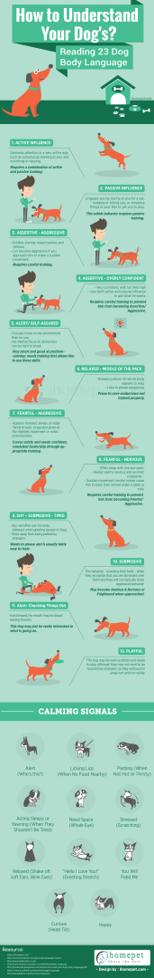 understanding-dog-body-language