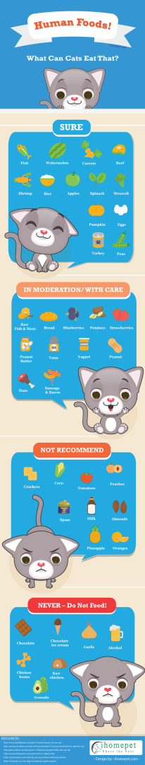 cat foods to avoid