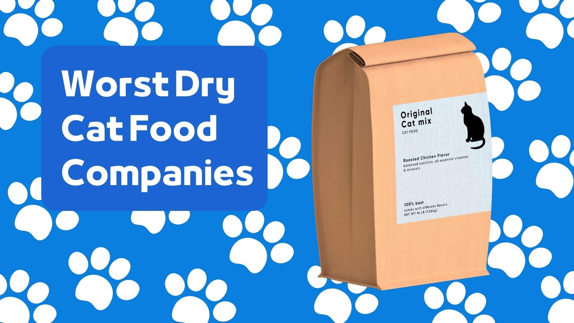 top-5-worst-dry-cat-food-companies-cat-nutrition-101-ihomepet