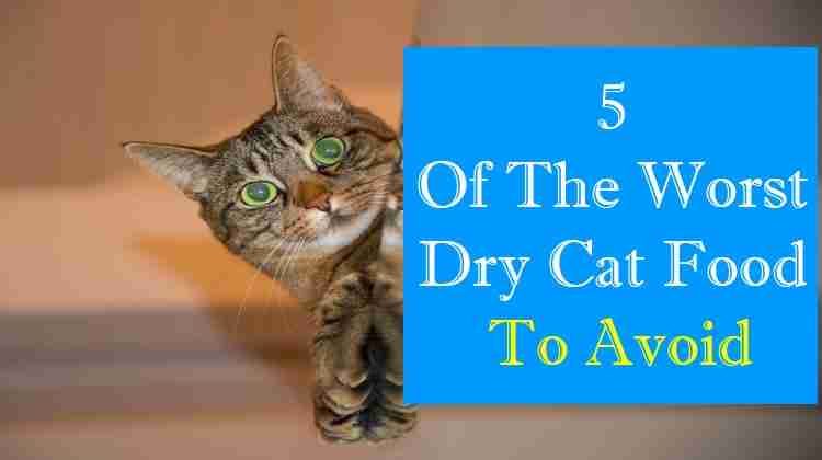 Worst dry cat food