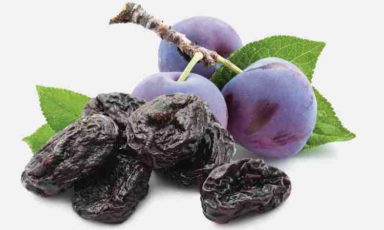 Can Dogs Eat Prunes