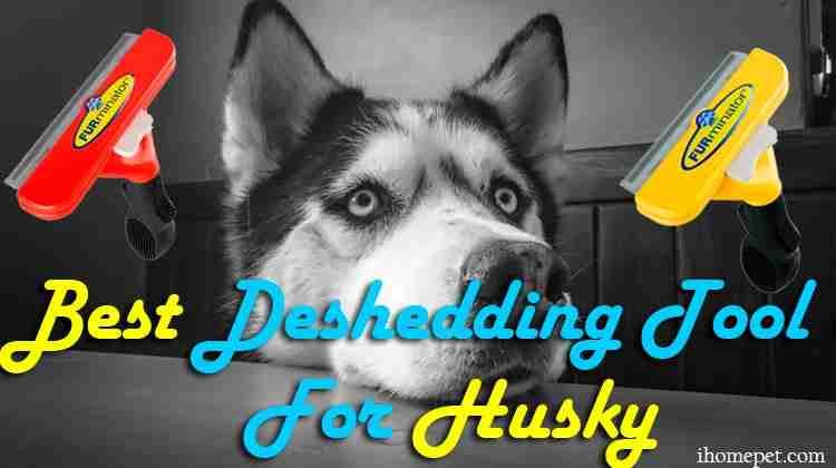 Best Deshedding Tool for Husky