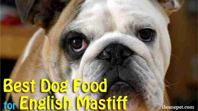 Best food 2024 for english mastiff