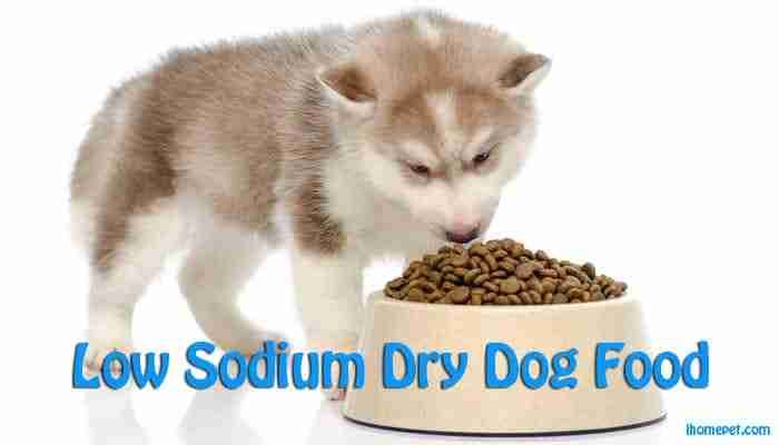 Low Sodium Dry Dog Food
