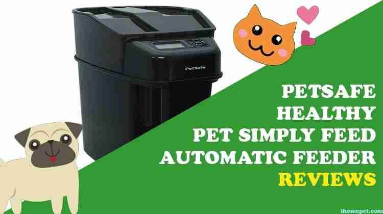 petsafe healthy pet simply feed automatic feeder petsafe healthy pet simply feed automatic feeder
