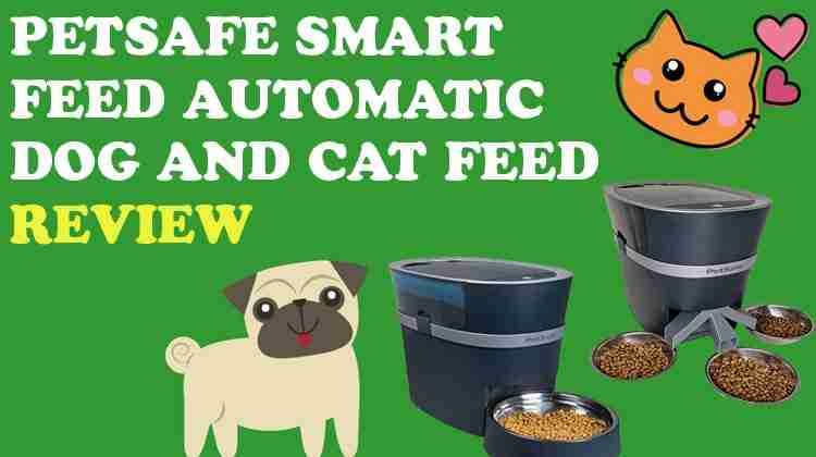 PetSafe Smart Feed Automatic Dog and Cat Feeder - iHomePet