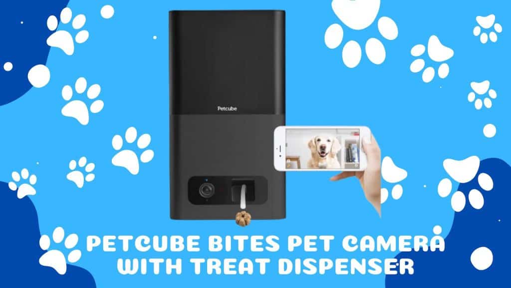 Petcube Bites Pet Camera with Treat Dispenser