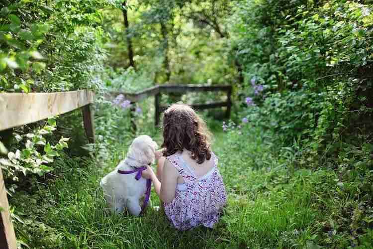 Young child training dog at the park