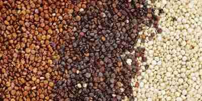 Different type of quinoa