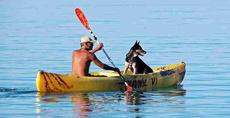 Kayaking at the beach with my dog