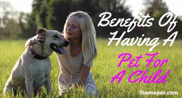 Benefits of having a pet for a child