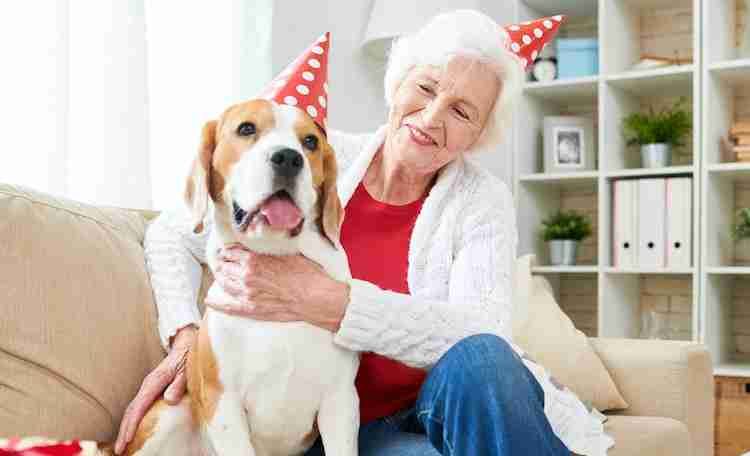 How a dog improves the mood of a smiling Senior woman