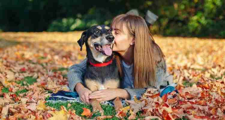 Proof that a dog can make you less loneley