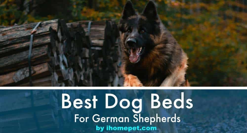 Best Dog Beds For German Shepherds 