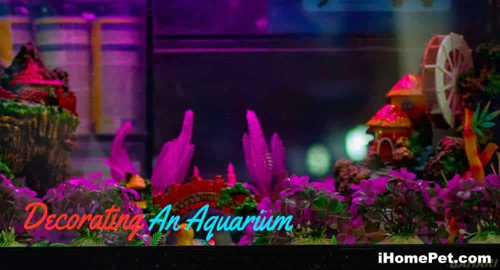 Decorating An Aquarium