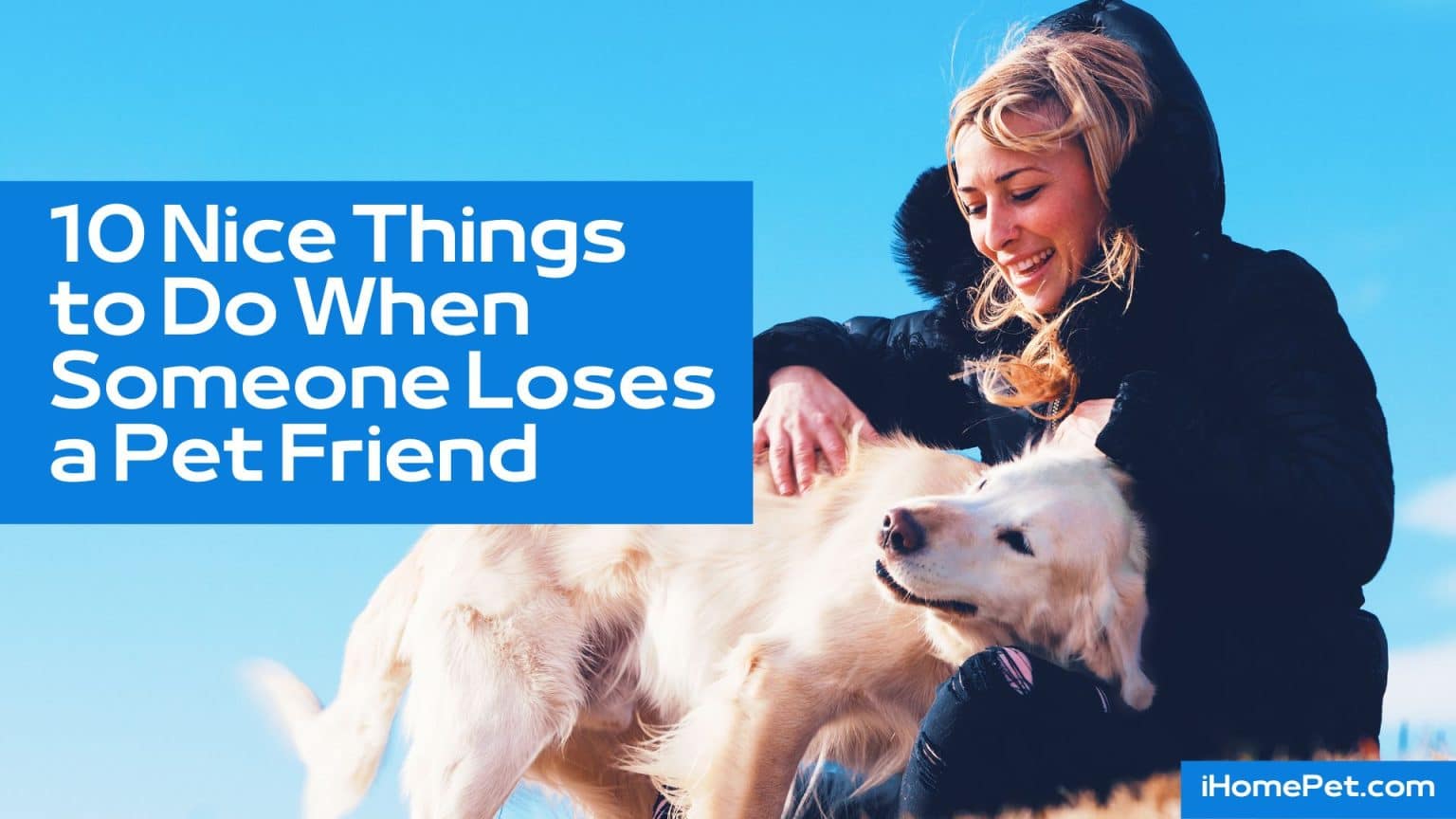 10-heartfelt-and-nice-things-to-do-when-someone-loses-a-pet